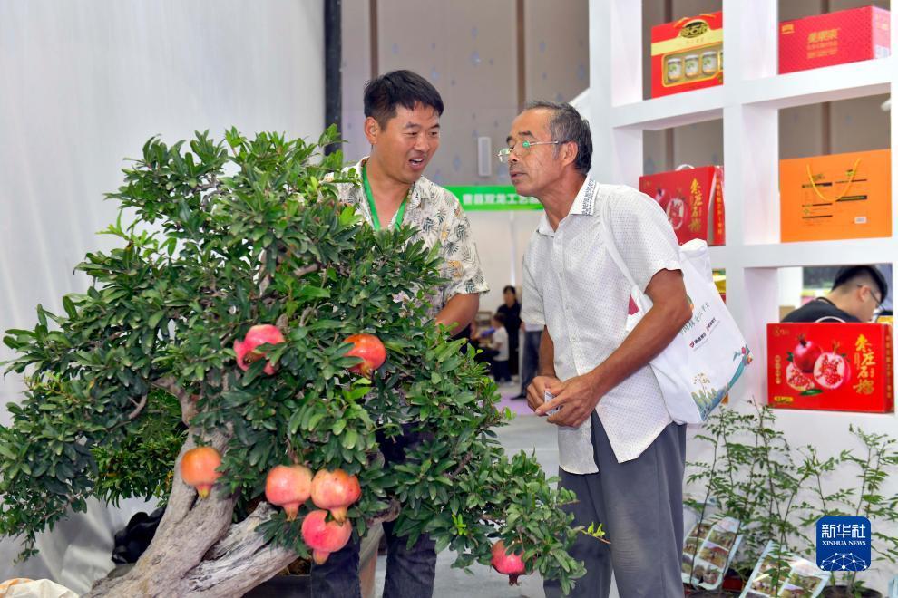 酷鱼电玩城唯一官网