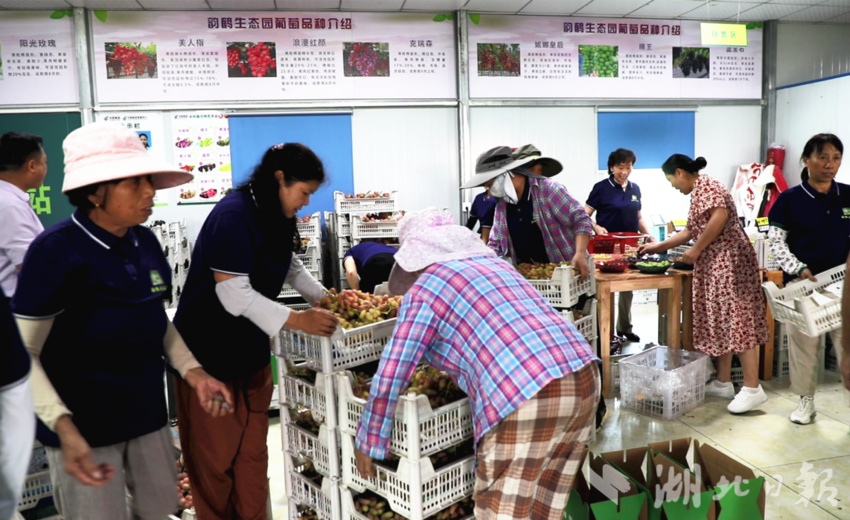 奔驰游戏网站多少